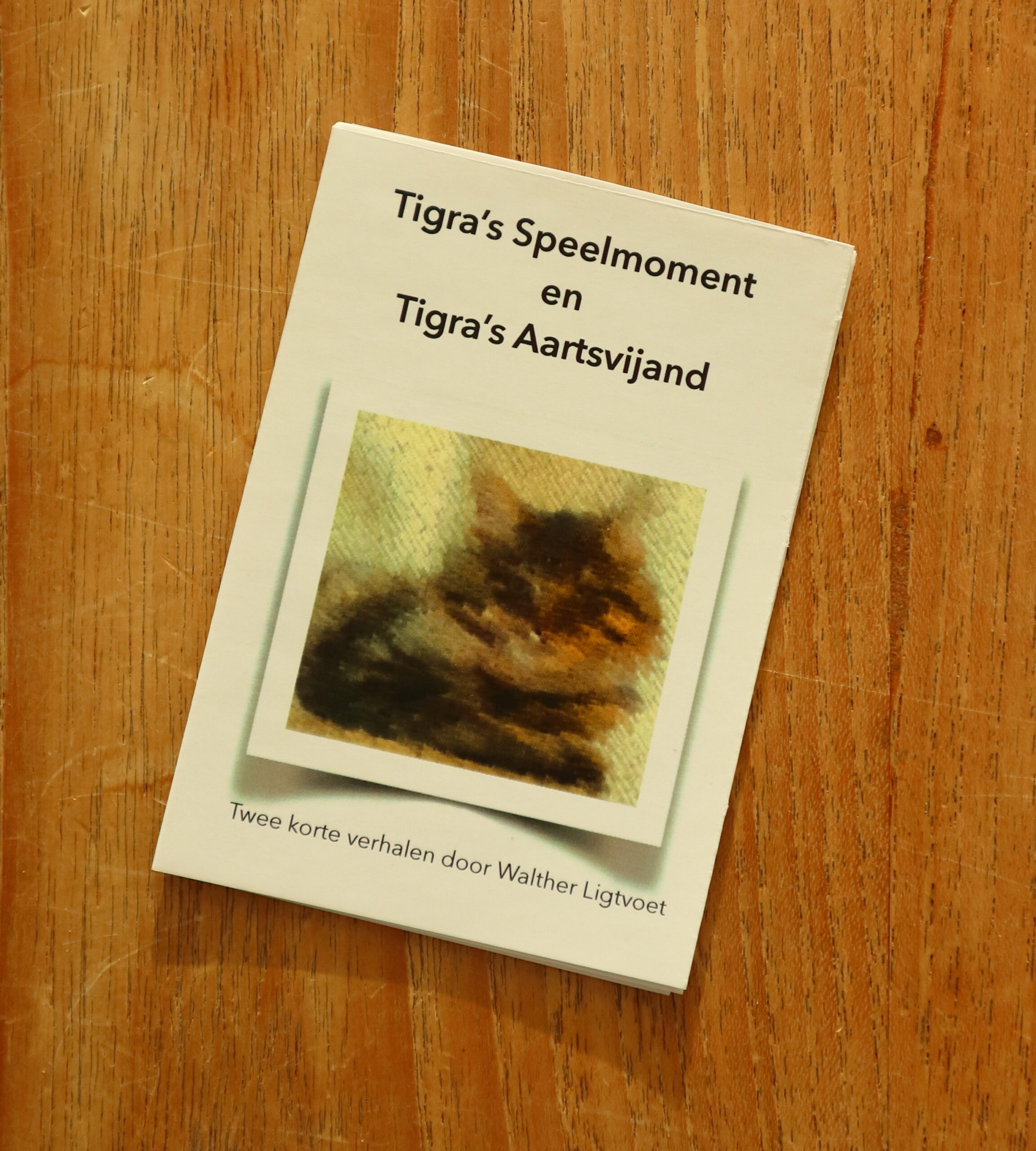 InstantBoek - diverse titels - Afbeelding 3