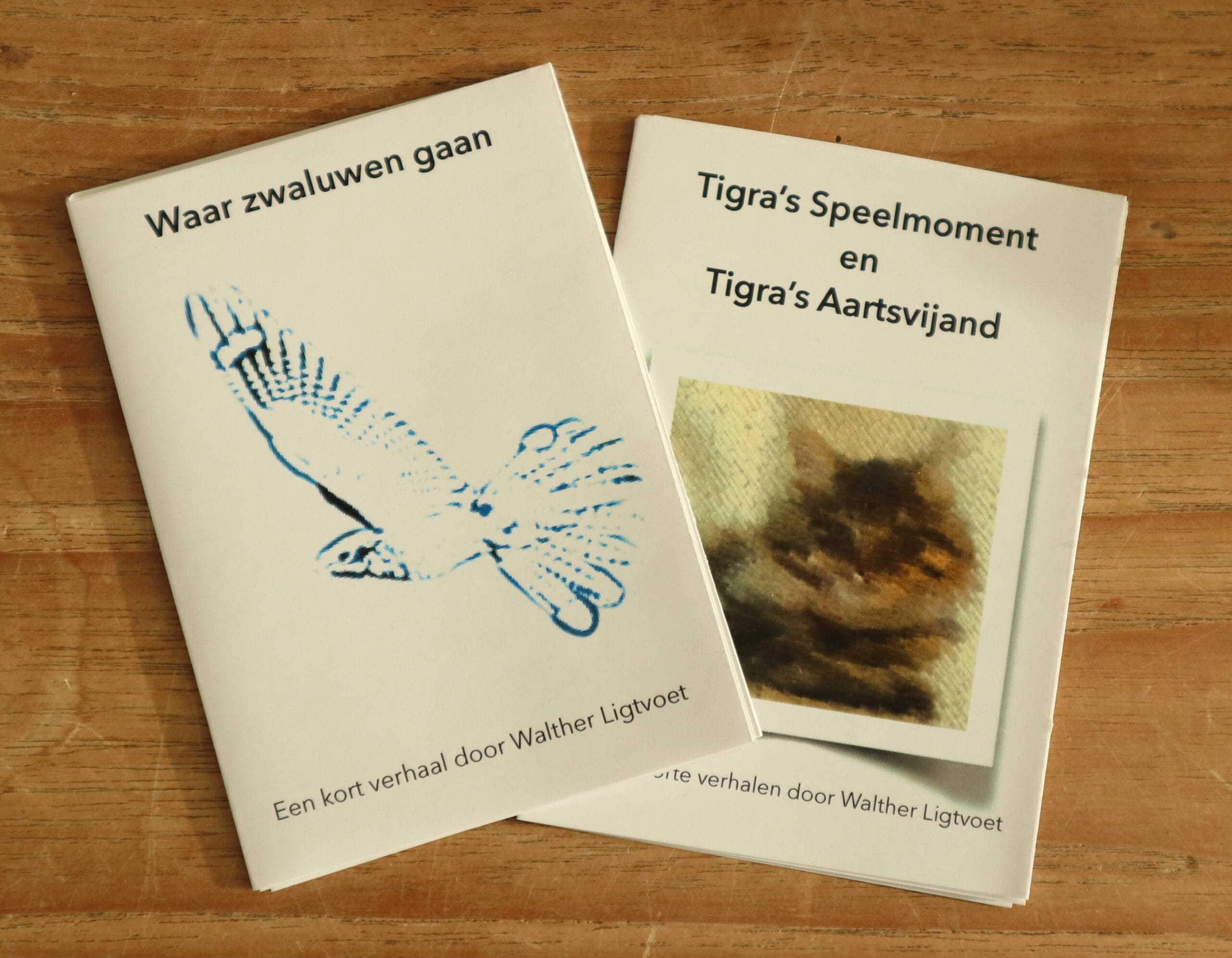 InstantBoek - diverse titels - Afbeelding 2