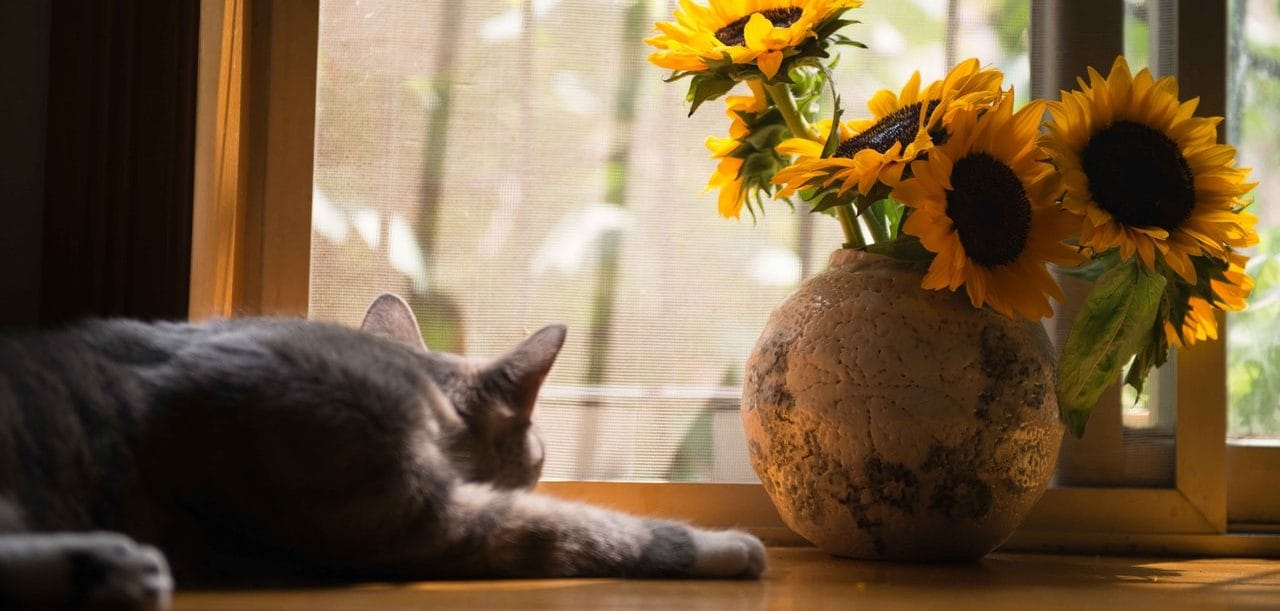 Naar buiten gaan gaat weer gebeuren. Hoe dan ook.