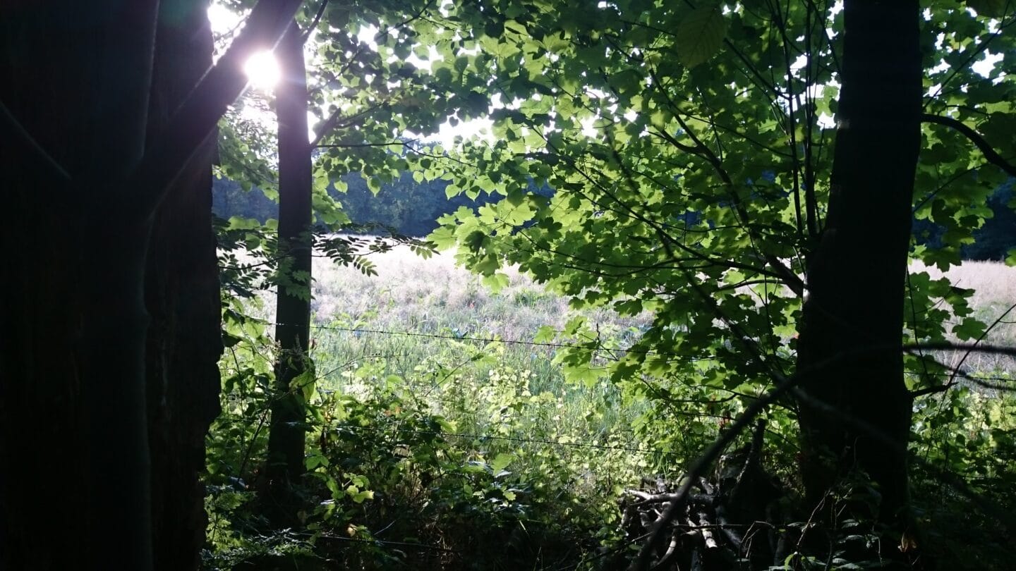 Landgoed Oosterheide