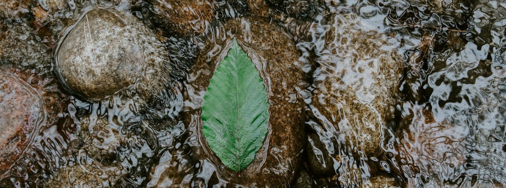 Kalmte (voor de storm?)