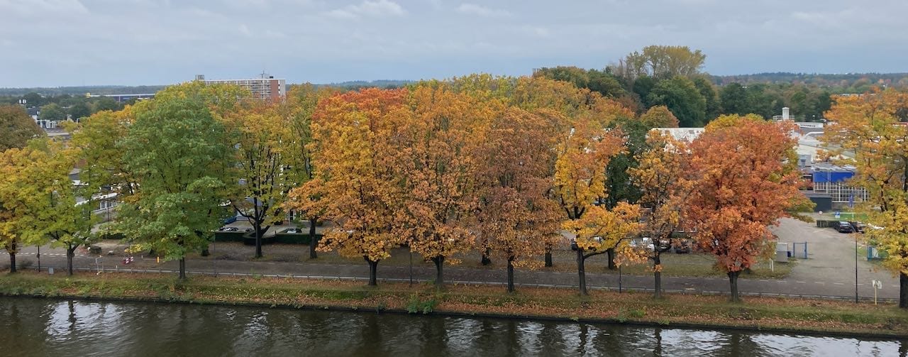 Herfst… eindelijk…