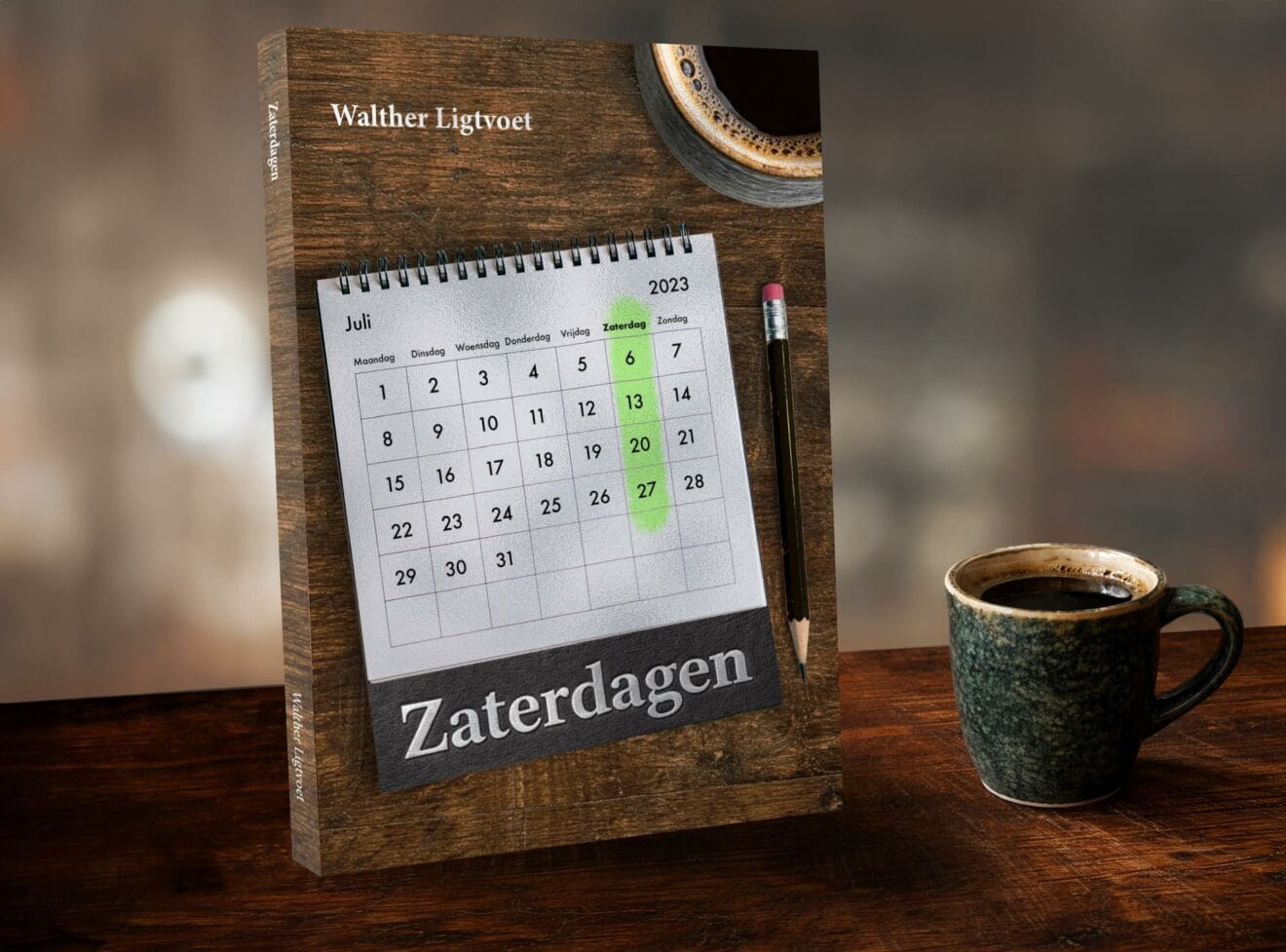Een afbeelding van het boek Zaterdagen