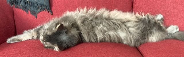 Buiten blijft buiten vandaag